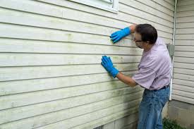 Affordable siding repair and maintenance services in Lower Lake, CA